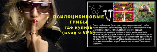 соль ск Вязьма
