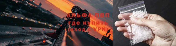 скорость Вяземский