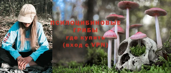 скорость Вяземский