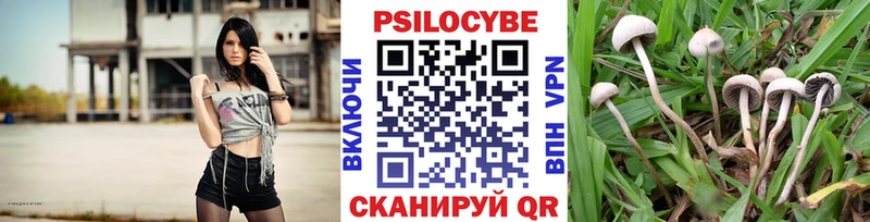 Псилоцибиновые грибы Cubensis  ссылка на мегу как войти  Барнаул 